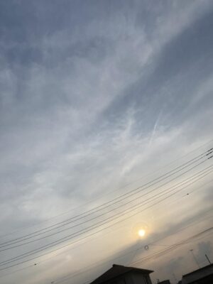 IMG_9179.jpg